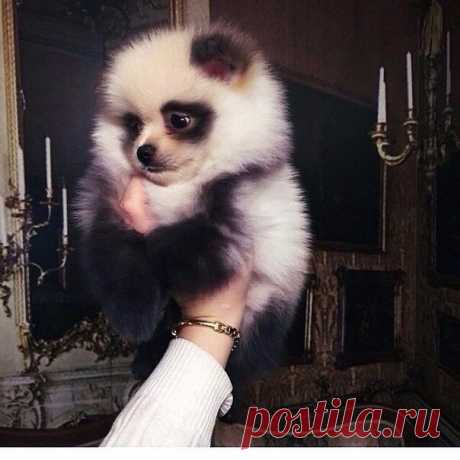 Как можно быть таким милым 😘