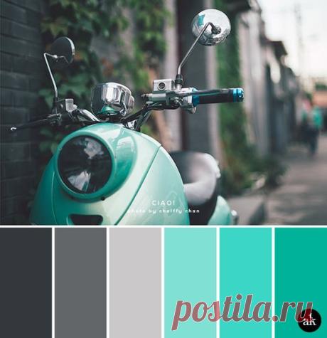 (4) Pinterest: scopri e salva idee creative