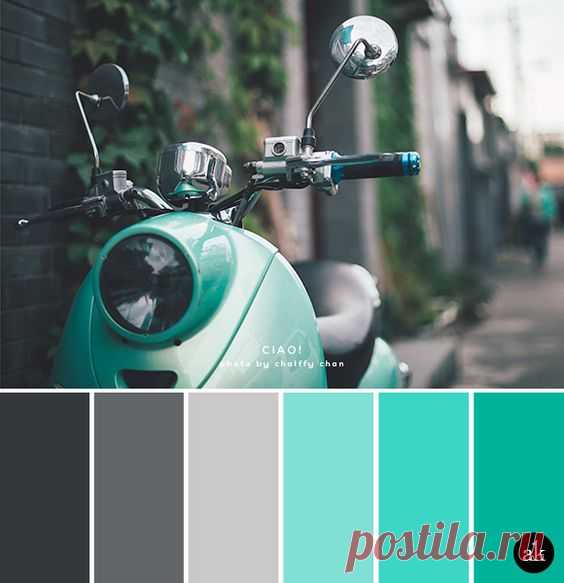 (4) Pinterest: scopri e salva idee creative