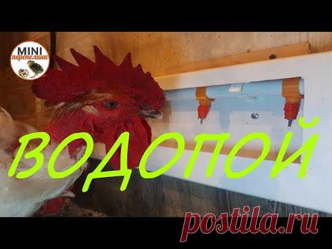 Изготовление универсальной поилки для кур. Мастеркласс.