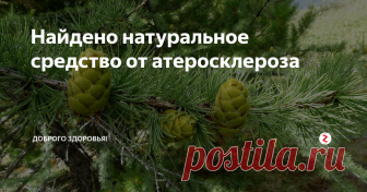 Найдено натуральное средство от атеросклероза Российские учёные нашли натуральное вещество, защищающее сосуды от атеросклероза. Это таксифолин (дигидрокверцетин), один из представителей флавоноидов, крупнейшего класса растительных полифенолов. От других подобных соединений таксифолин отличается высокой эффективностью.
