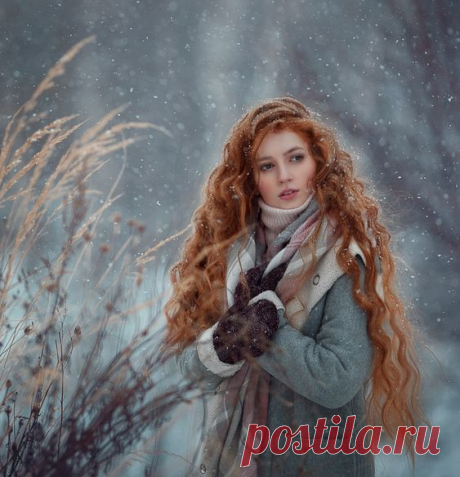 Зимний сон