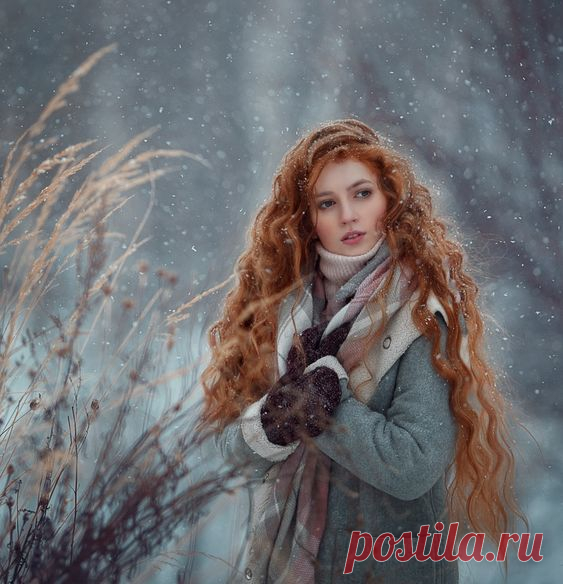 Зимний сон