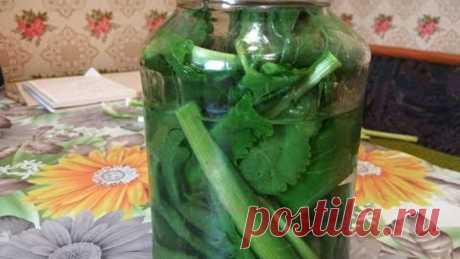 Лечебная Настойка. Быстрые Результаты. Хреновуха лечебная.
