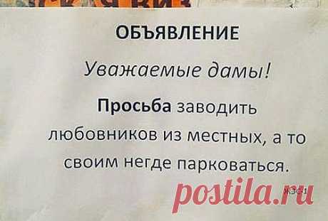 Душевные объявления из наших подъездов