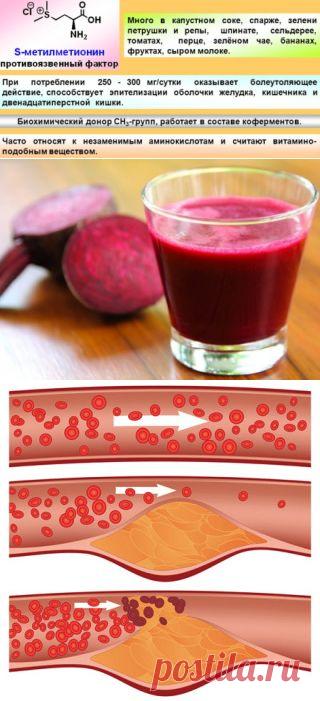 Полезные и лечебные свойства свеклы | Правила здоровья и долголетия