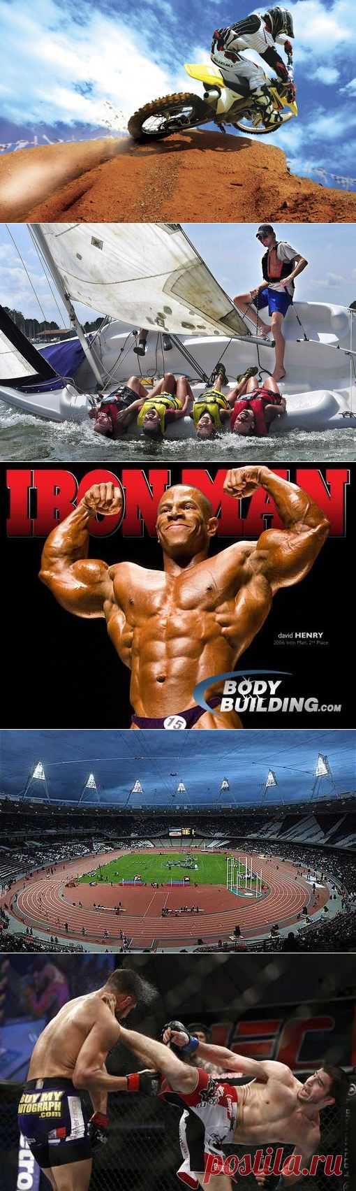 Кайтинг, Альпинизм, Фридайвинг, Танцевальный спорт. (1/1) - Спортивный форум. - Спортивный сайт