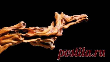 wood has something... ...it has character.