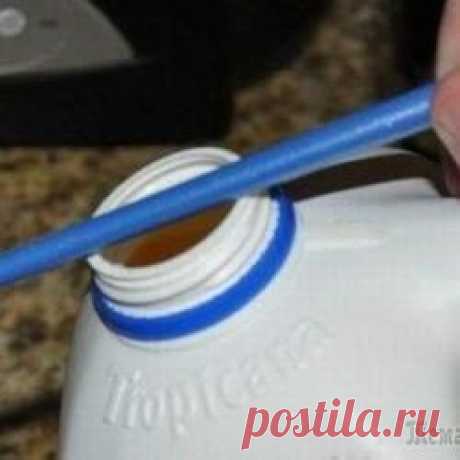 20 незаменимых советов для кухни