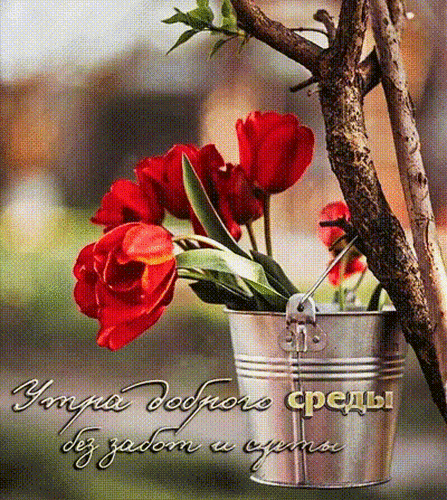 Утра доброго среды...