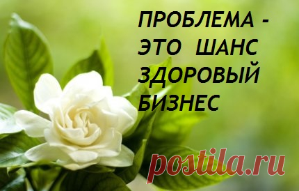 Как вы относитесь к тому чтобы не чувствовать нужду в деньгах , погасить долги и кредиты ? Если у вас есть время и желание тогда создайте себе доходы !!! Регистрируйтесь на бесплатный курс в Здоровый Бизнес, где вас научат и покажут классную возможность как это делать в интернете. Пройдите по ссылке :