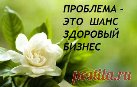 Как вы относитесь к тому чтобы не чувствовать нужду в деньгах , погасить долги и кредиты ? Если у вас есть время и желание тогда создайте себе доходы !!! Регистрируйтесь на бесплатный курс в Здоровый Бизнес, где вас научат и покажут классную возможность как это делать в интернете. Пройдите по ссылке :