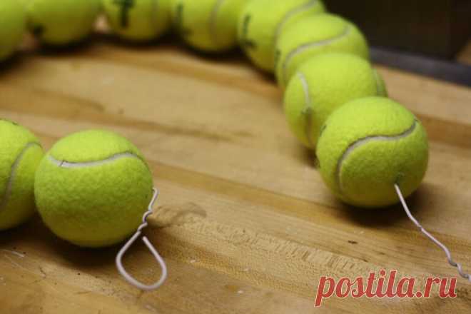 Игрушки для питомцев из того, что под рукой - Журнал 