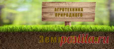 «Интернет-справочник «Секреты современной дачи»