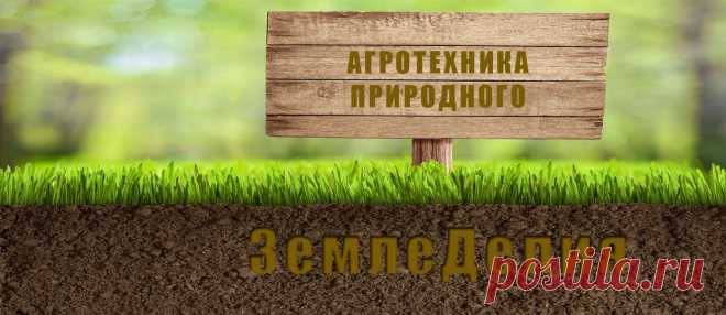 «Интернет-справочник «Секреты современной дачи»