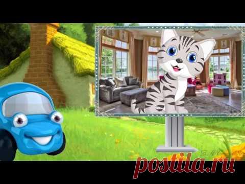 Я пушистый беленький котёнок | stepanowa.ru