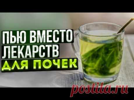 Почки молодеют, чистятся и камни выходят! Смотрите, чем я очищаю почки дома
