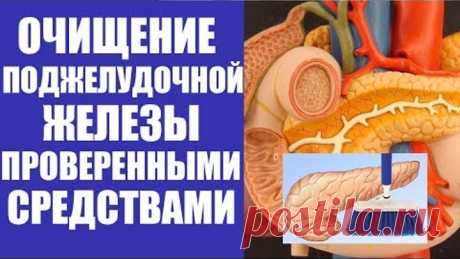 Как очистить поджелудочную железу