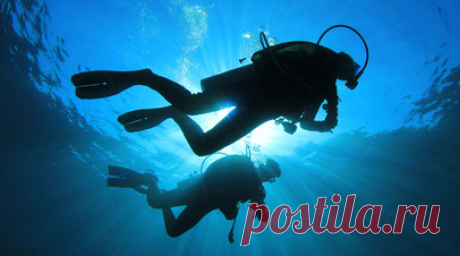 В Волгограде идут работы по подъёму со дна Волги останков красноармейцев. В Волгограде поисковики из отряда «Альфа» подняли со дна останки бойцов 13-й гвардейской стрелковой дивизии, которые пролежали на дне Волги более 80 лет — с сентября 1942 года. Читать далее