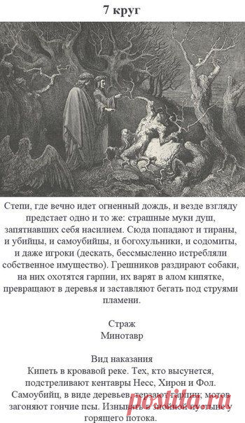 7 круг