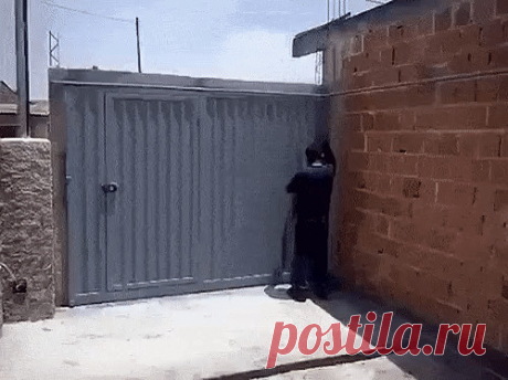 Одноклассники