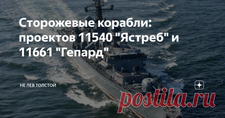 Сторожевые корабли: проектов 11540 "Ястреб" и 11661 "Гепард" В конце существования СССР в ВМФ Советского Союза появилась потребность в новых сторожевых  кораблях на замену устаревающим проектам 1124 "Альбатрос" и проекту 1135 "Буревестник" и проекту 1331 М.
Старички ещё и сейчас продолжают служить в ВМС РФ и Украины, а сторожевик (сейчас фрегат) "Гетман Сайгадачный" даже флагман флота Украины, украинский флот имеет в строю ещё 3 МПК "Альбатрос" в строю.