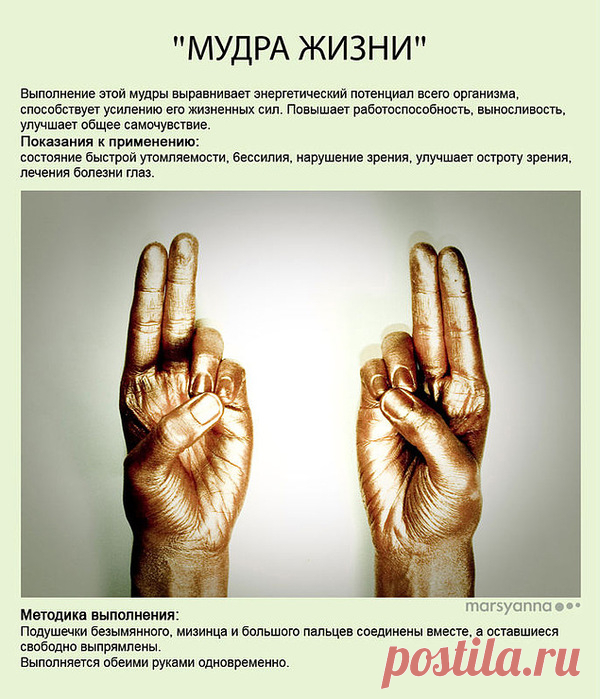 Йога. Материал для ознакомления. Мудры