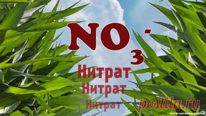 Почему нитраты и нитриты вызывают рак? 

Самыми 