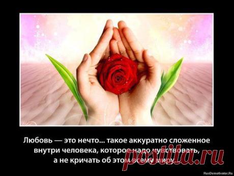 (87) Одноклассники