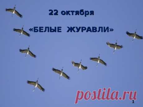 Стая белых журавлей кружится,
Устремляясь все куда-то в даль.
Мы не знали, что такая птица
Может вызывать в душе печаль. Открытки на День белых журавлей!