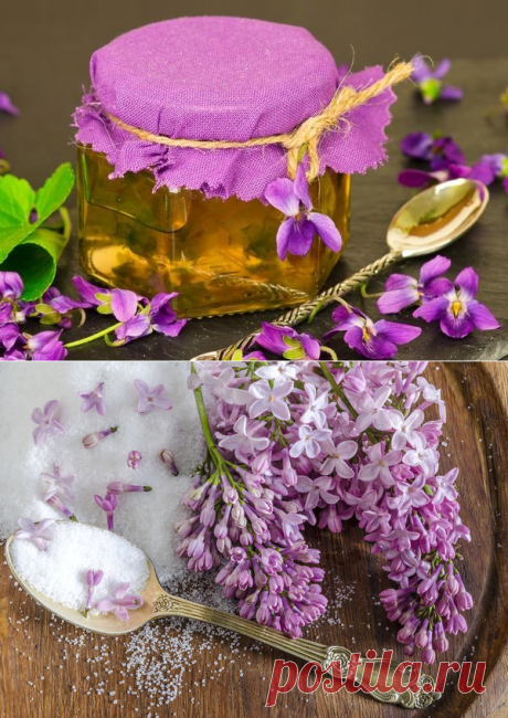 Вкусные и необычные рецепты варенья, которые можно сварить весной.