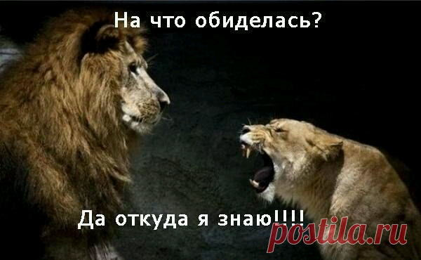Прикольные картинки я обиделась