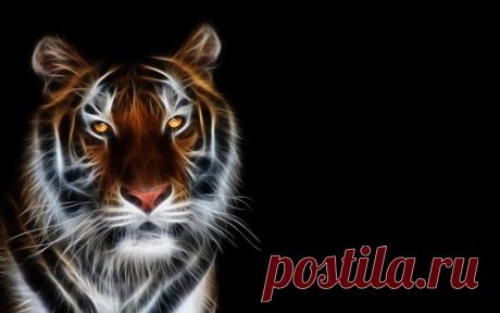 3D Animals HD Wallpapers | Desktop HD wallpaper. Stock photos HD quality.
