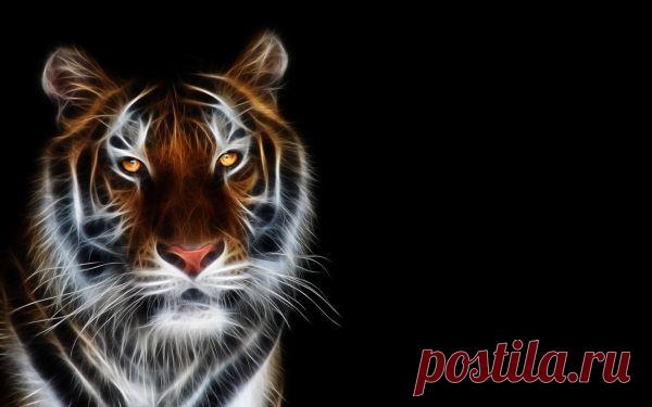 3D Animals HD Wallpapers | Desktop HD wallpaper. Stock photos HD quality.