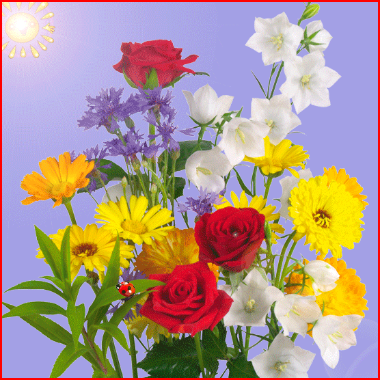 Не успокоена в покое,Ты вся ночная в нимбе дня...