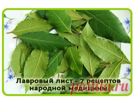 Лавровый лист: 7 проверенных рецептов народной медицины | Всегда в форме!