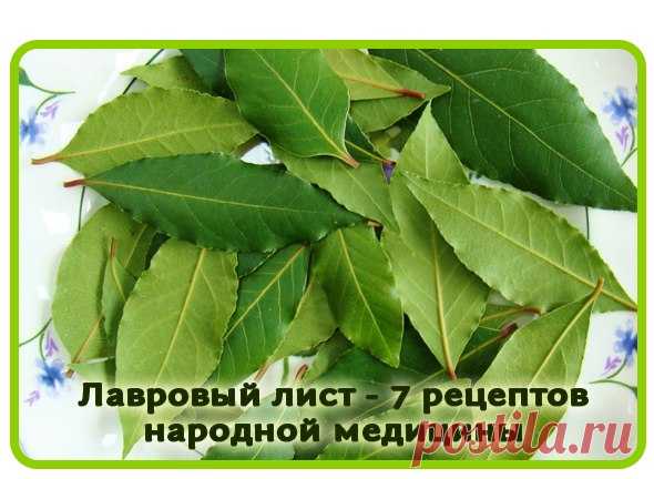 Лавровый лист: 7 проверенных рецептов народной медицины | Всегда в форме!