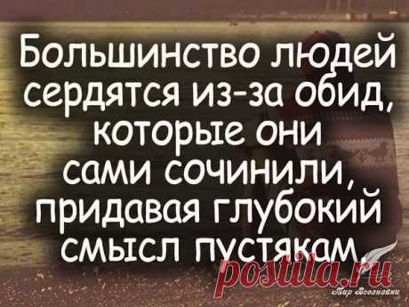 мудрые высказывания про тех кто ищет неприятности: 10 тыс изображений найдено в Яндекс.Картинках