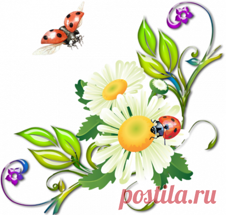 разные детали на прозрачном фоне для оформления рамок - Поиск в Google