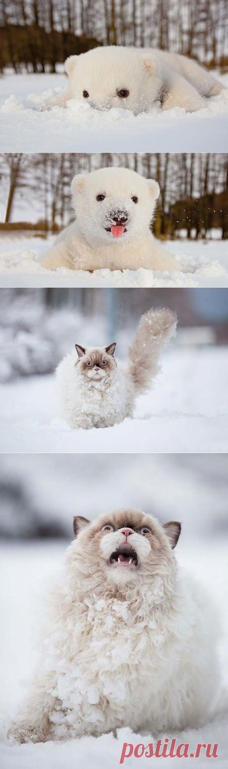 В гостях у Михалыча