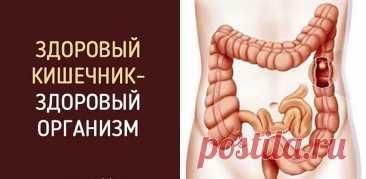 Здоровый кишечник - залог здоровья всего организма. Покупая эти продукты, мы сами создаем проблемы | Дневник здоровья | Дзен