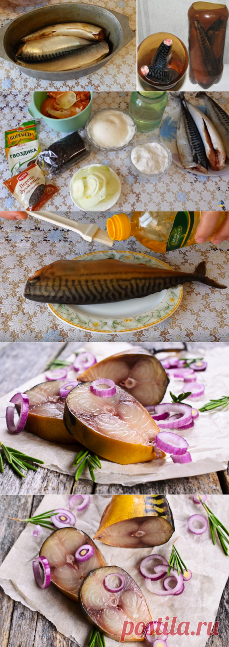 Скумбрия в бутылке, красивая, жирненькая…