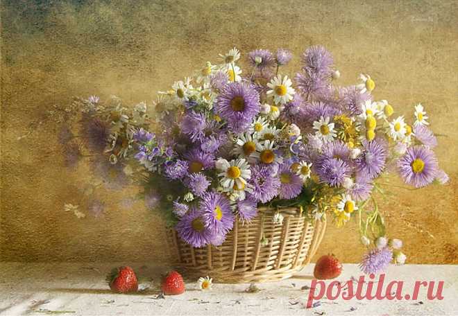 ФотоНатюрморты от Svetlana Pa.