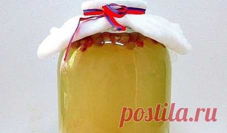 Готовим вкусный рисовый квас , который поможет от боли в спине и остеохондроза - Образованная Сова