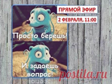 Запись прямого эфира 02.02.19: Ответы на вопросы зрителей