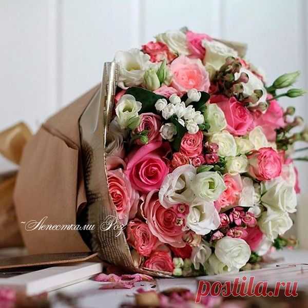 Вечер – значит тепло, значит – дом, значит – ужин,
И конечно же, тот, кто вам дорог и нужен
Пусть под веером звезд вам судьба улыбнется
И красивая сказка в добрый вечер начнется!..

Доброго, счастливого вечера!..