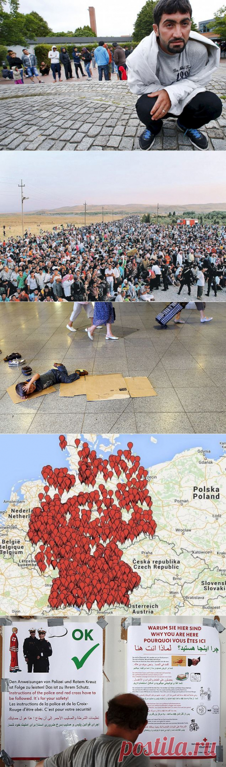 LDiena.lt | Vokietijos žūties kronika: kad įtiktų pabėgėliams, katalikų bažnyčia nebekrikštyja naujagimių