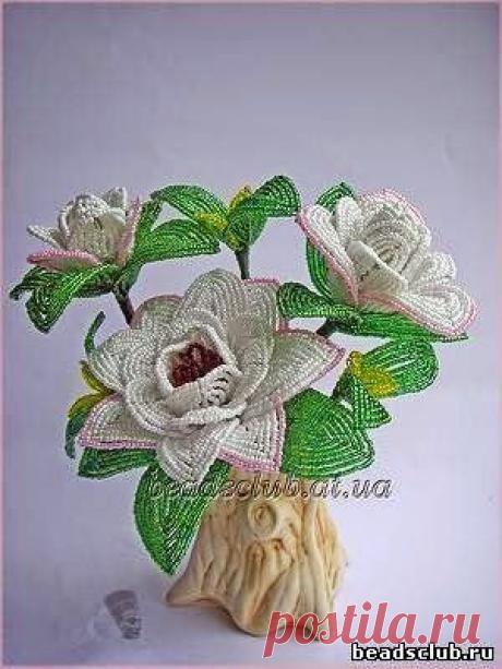 Все РукоТворчество: Цветок гардения из бисера