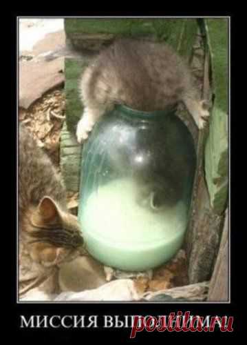 Мой Мир@Mail.Ru