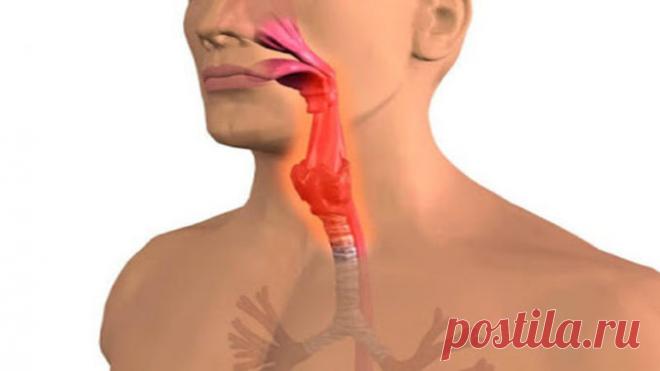 Как вывести слизь из организма и стать здоровее на 10 лет? — Полезные советы
